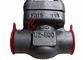 API Forged Steel Check Valve SW / NPT Small Size Metallic Seating Surface